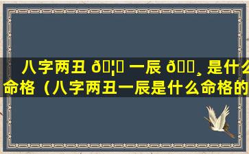 八字两丑 🦅 一辰 🕸 是什么命格（八字两丑一辰是什么命格的人）